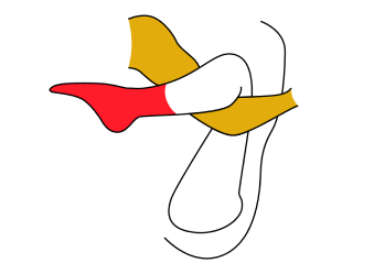 Welcome Illustration